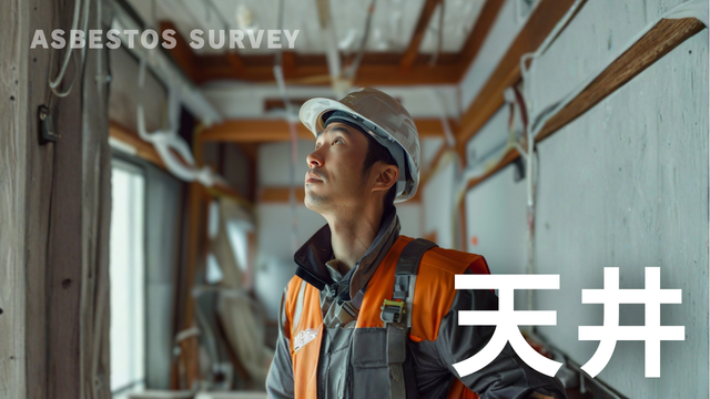 天井アスベスト調査 石綿含有建材確認